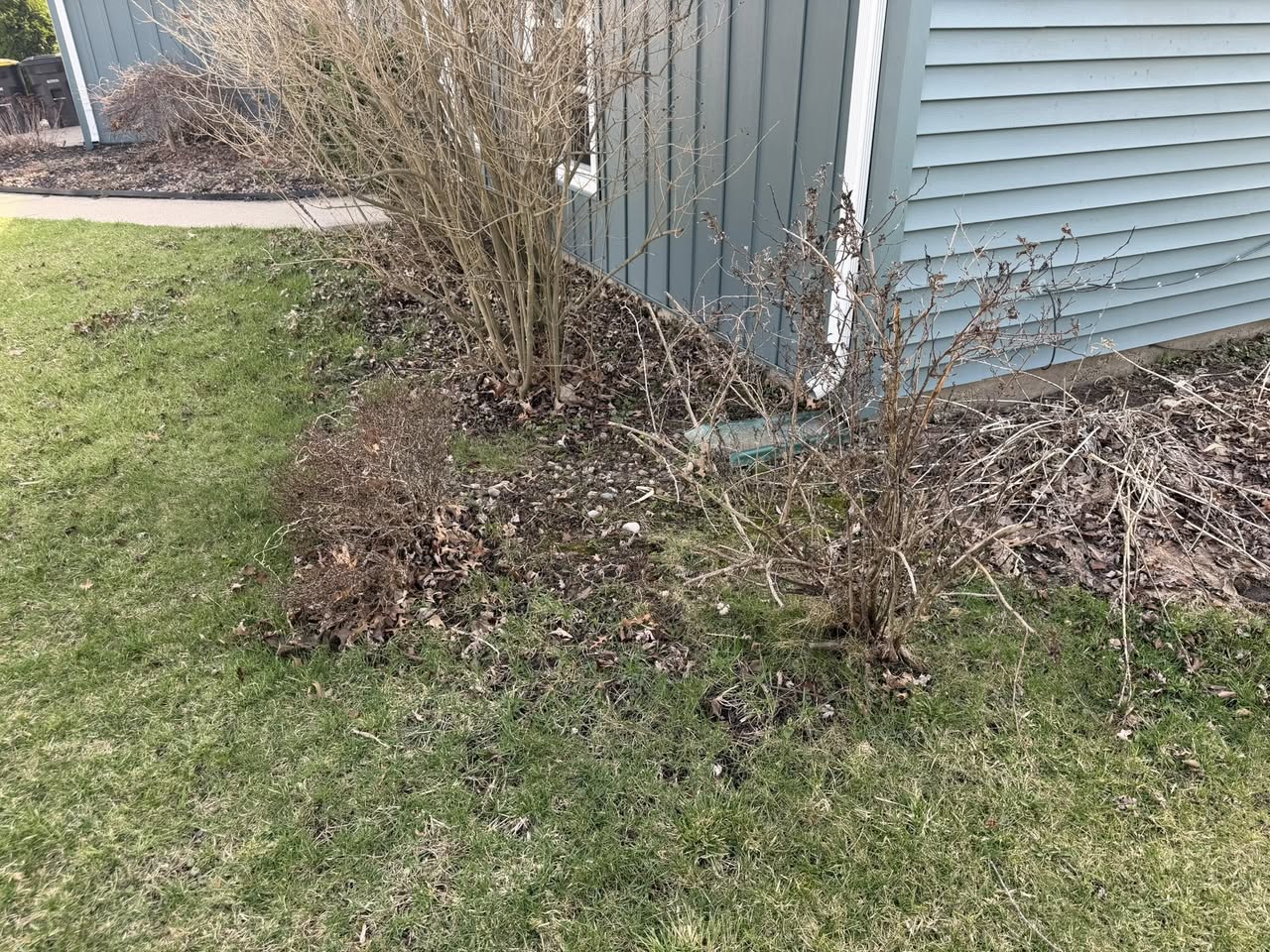 Seasonal cleanups