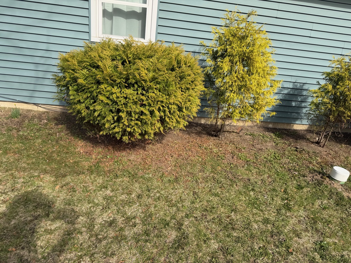 Lawn care